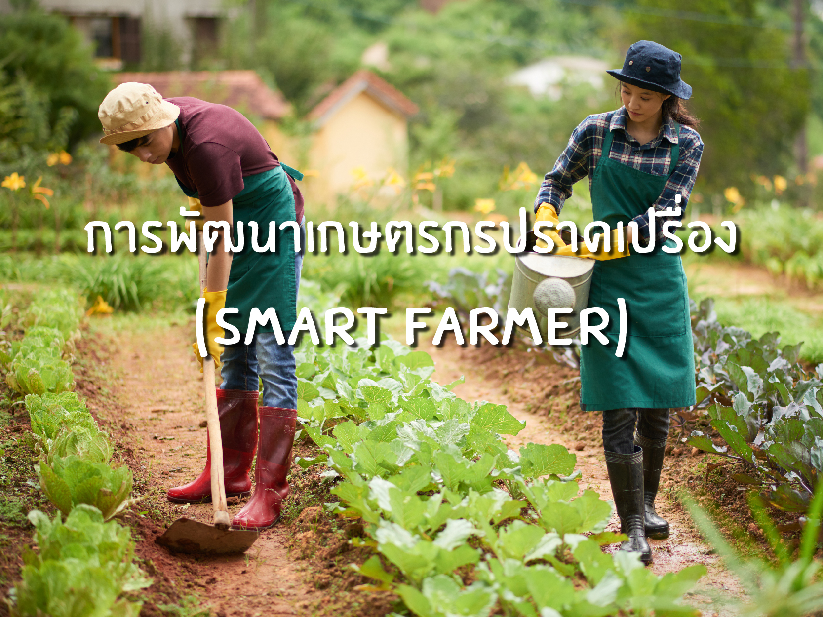 การพัฒนาเกษตรกรปราดเปรื่อง (Smart Farmer)