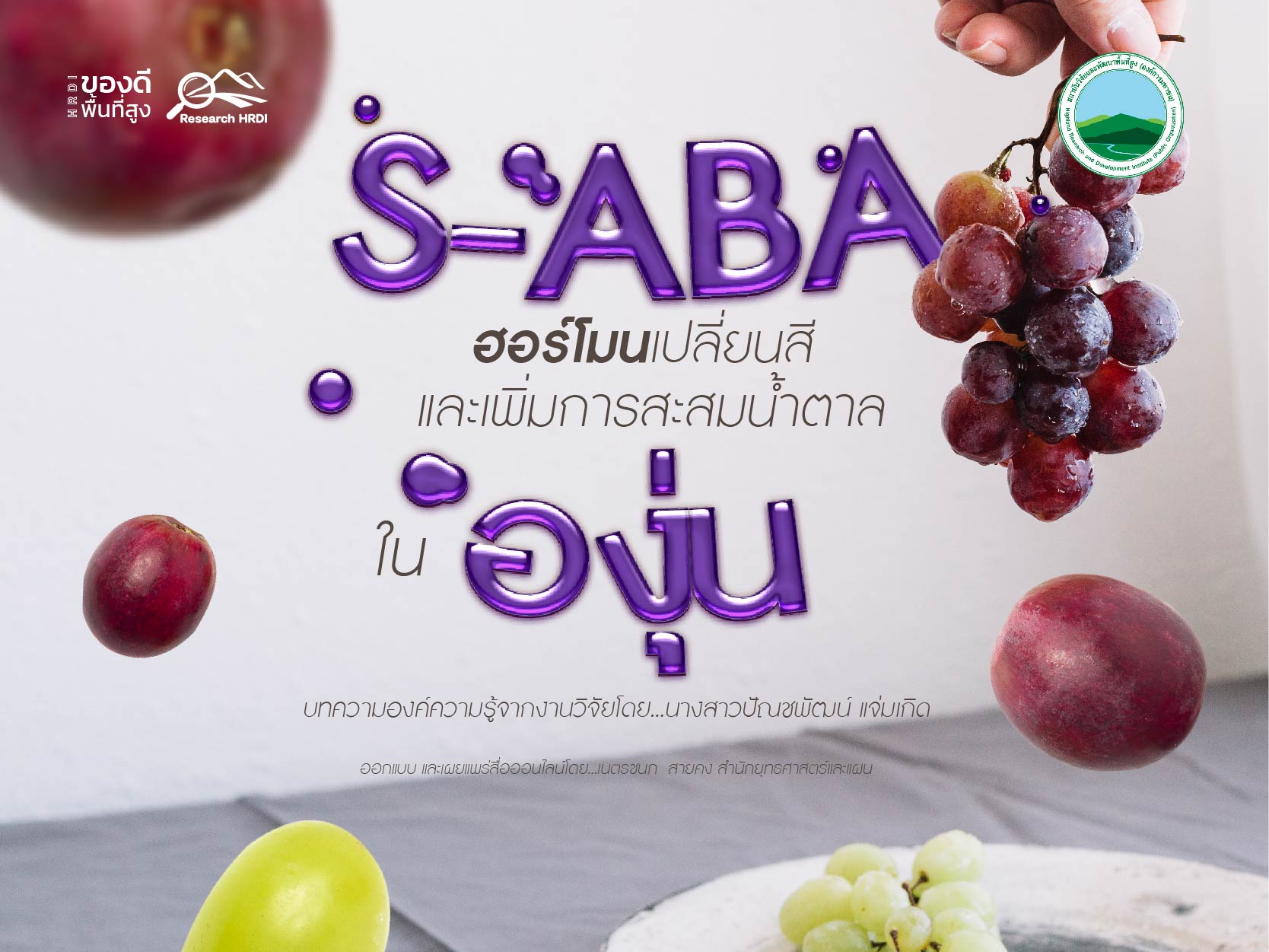 S-ABA ฮอร์โมนเปลี่ยนสีและเพิ่มการสะสมน้ำตาลในองุ่น