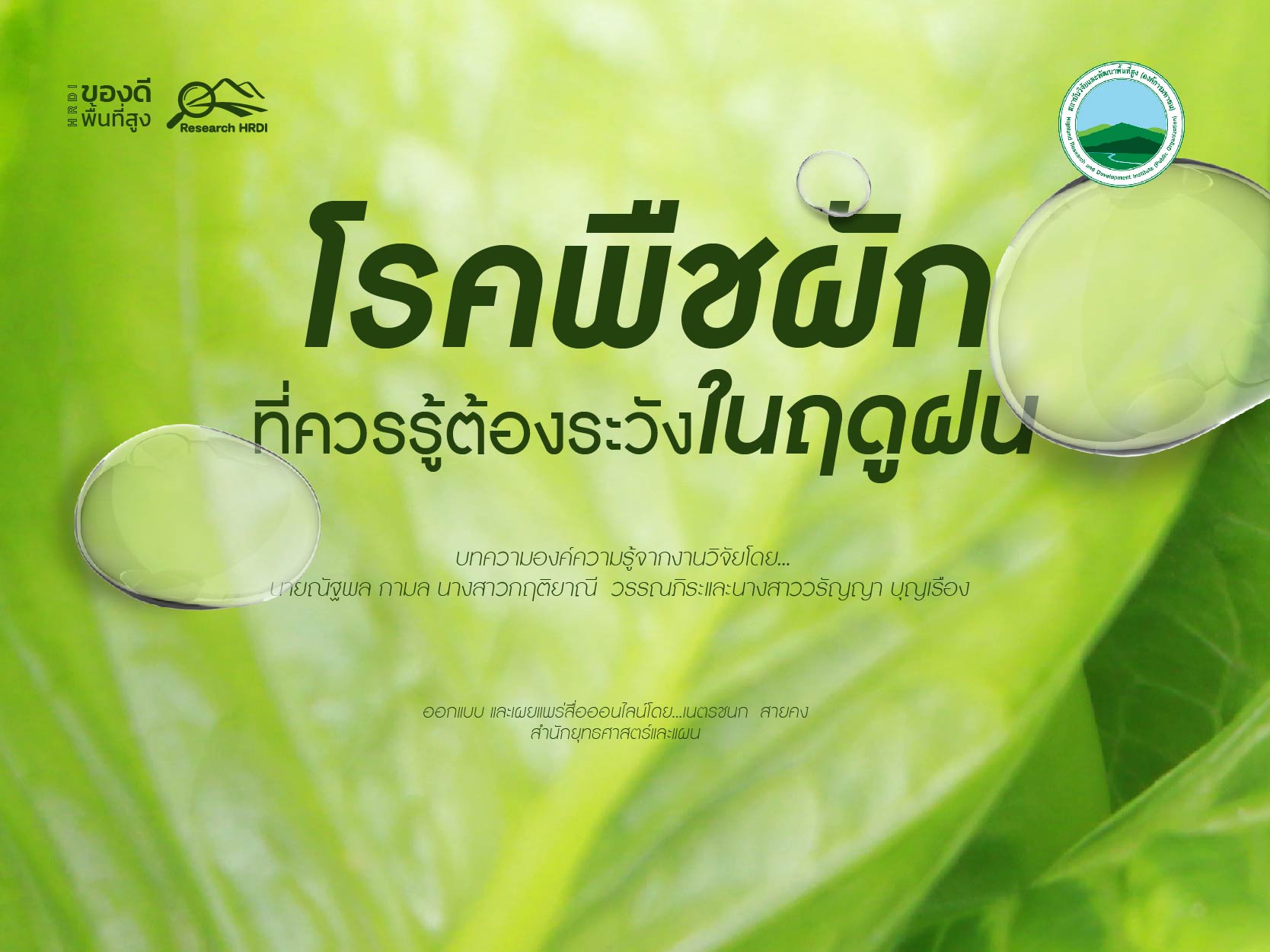 โรคพืชผักที่ควรรู้ต้องระวังในฤดูฝน