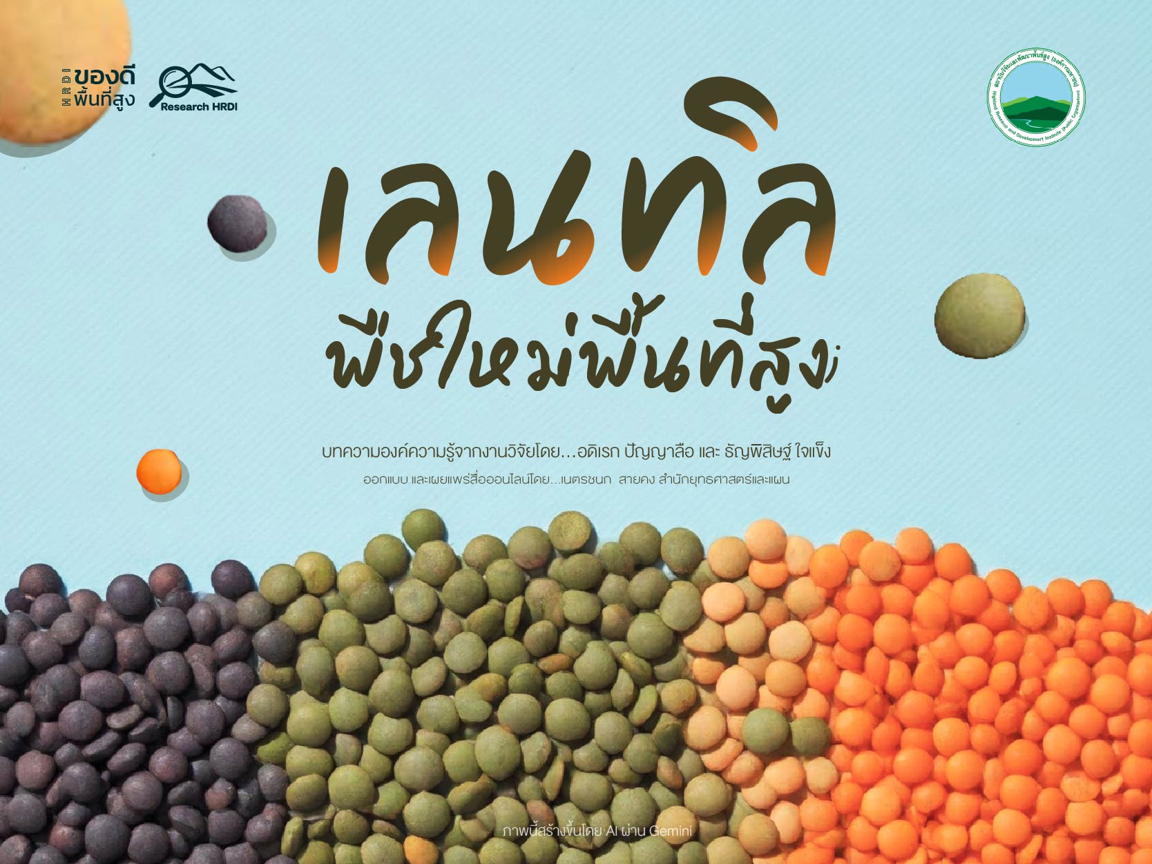 เลนทิล พืชใหม่พื้นที่สูง