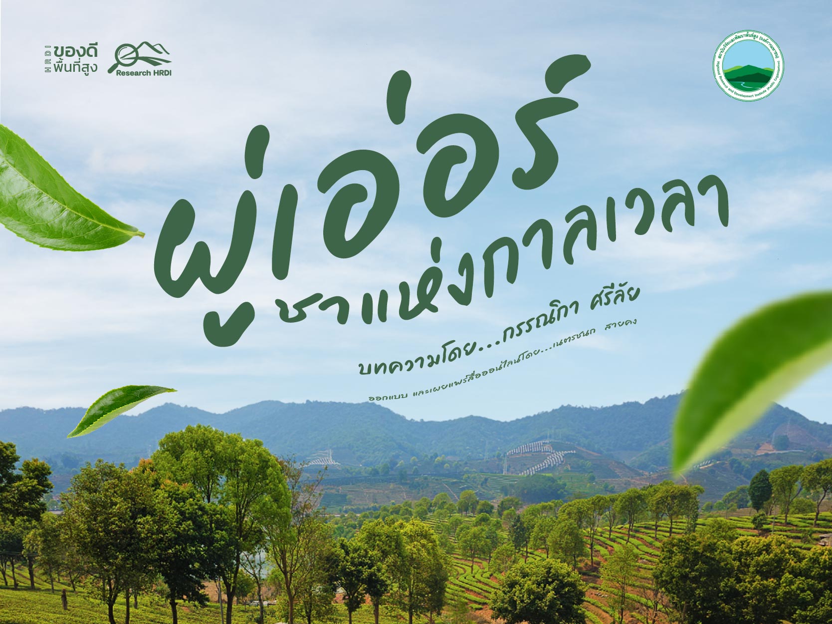 ผู่เอ่อร์ ชาแห่งกาลเวลา