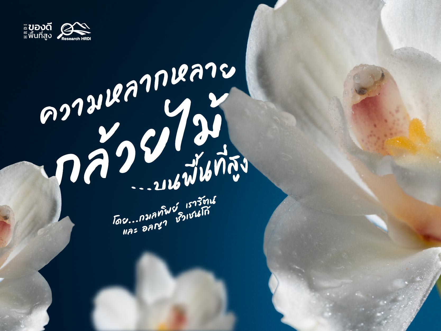 ความหลากหลาย กล้วยไม้.....บนพื้นที่สูง