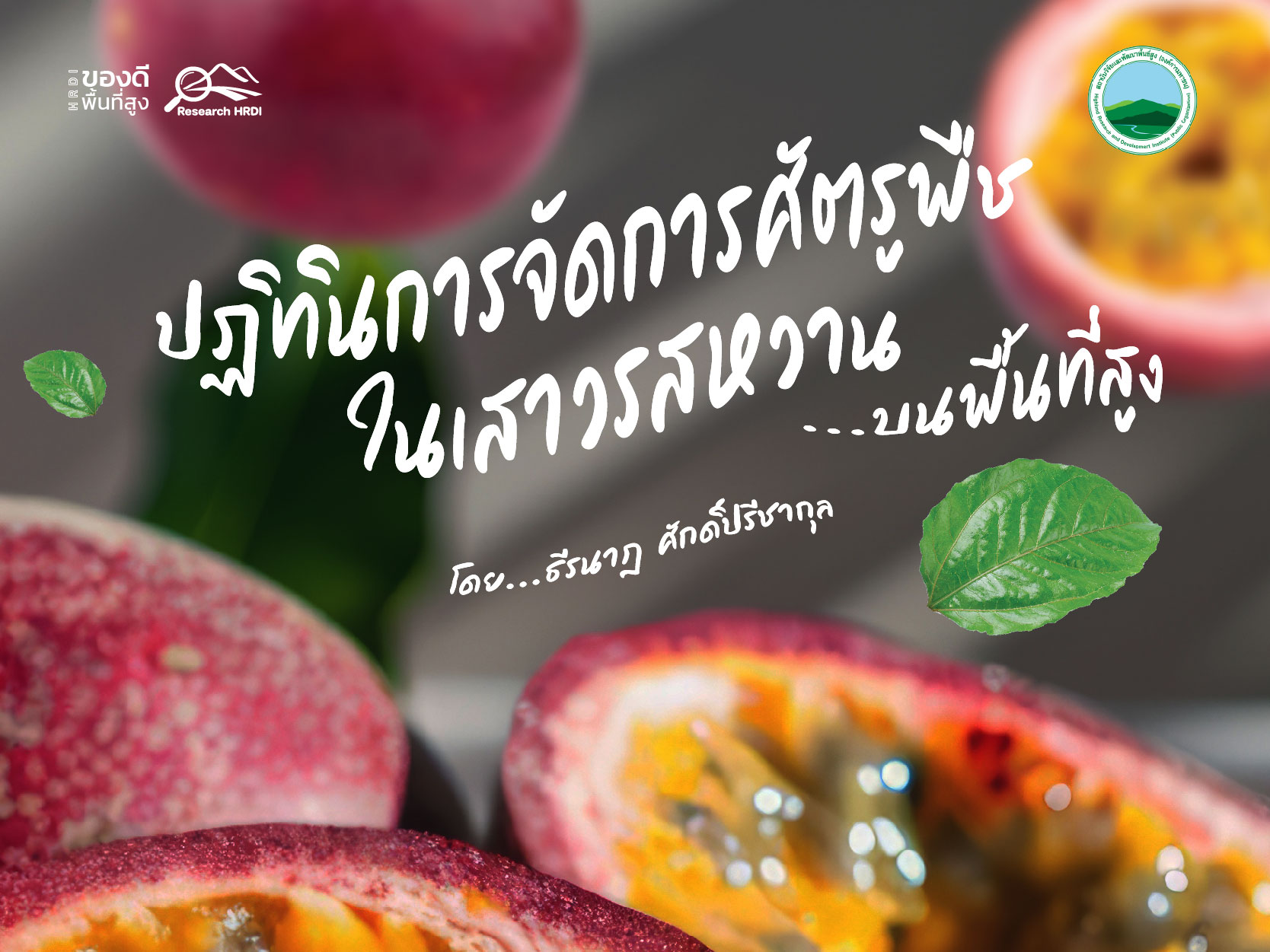 การจัดการศัตรูพืชในเสาวรสหวานบนพื้นที่สูง