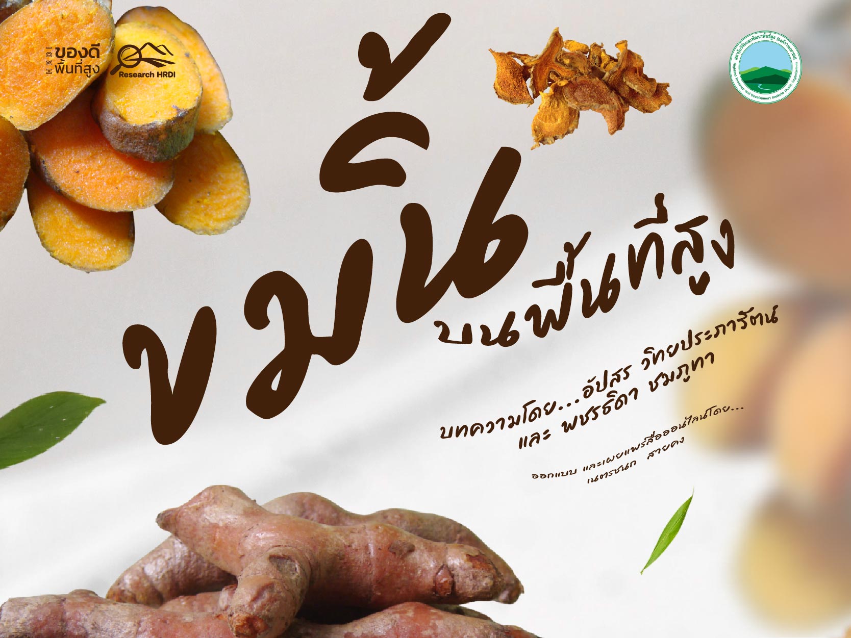 ขมิ้น บนพื้นที่สูง
