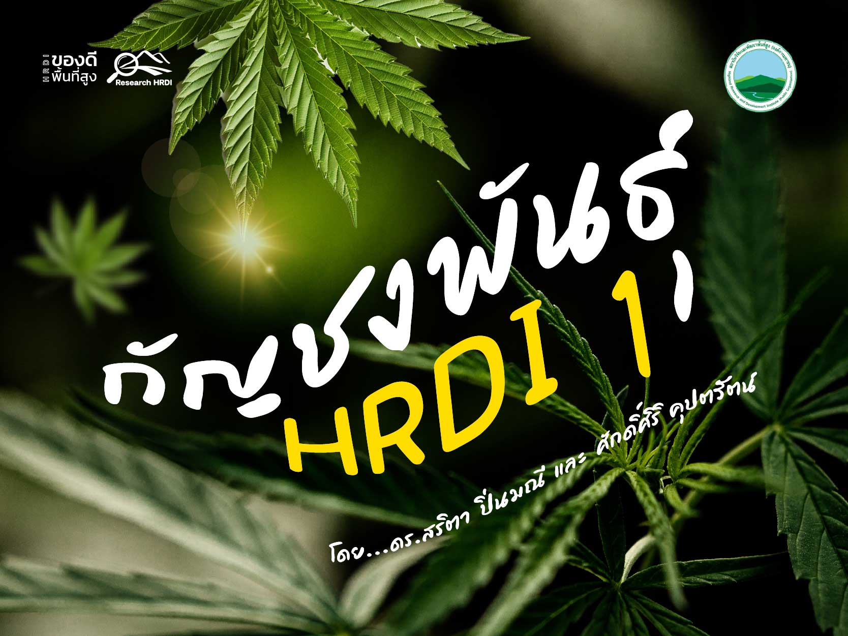 กัญชงพันธุ์ HRDI 1