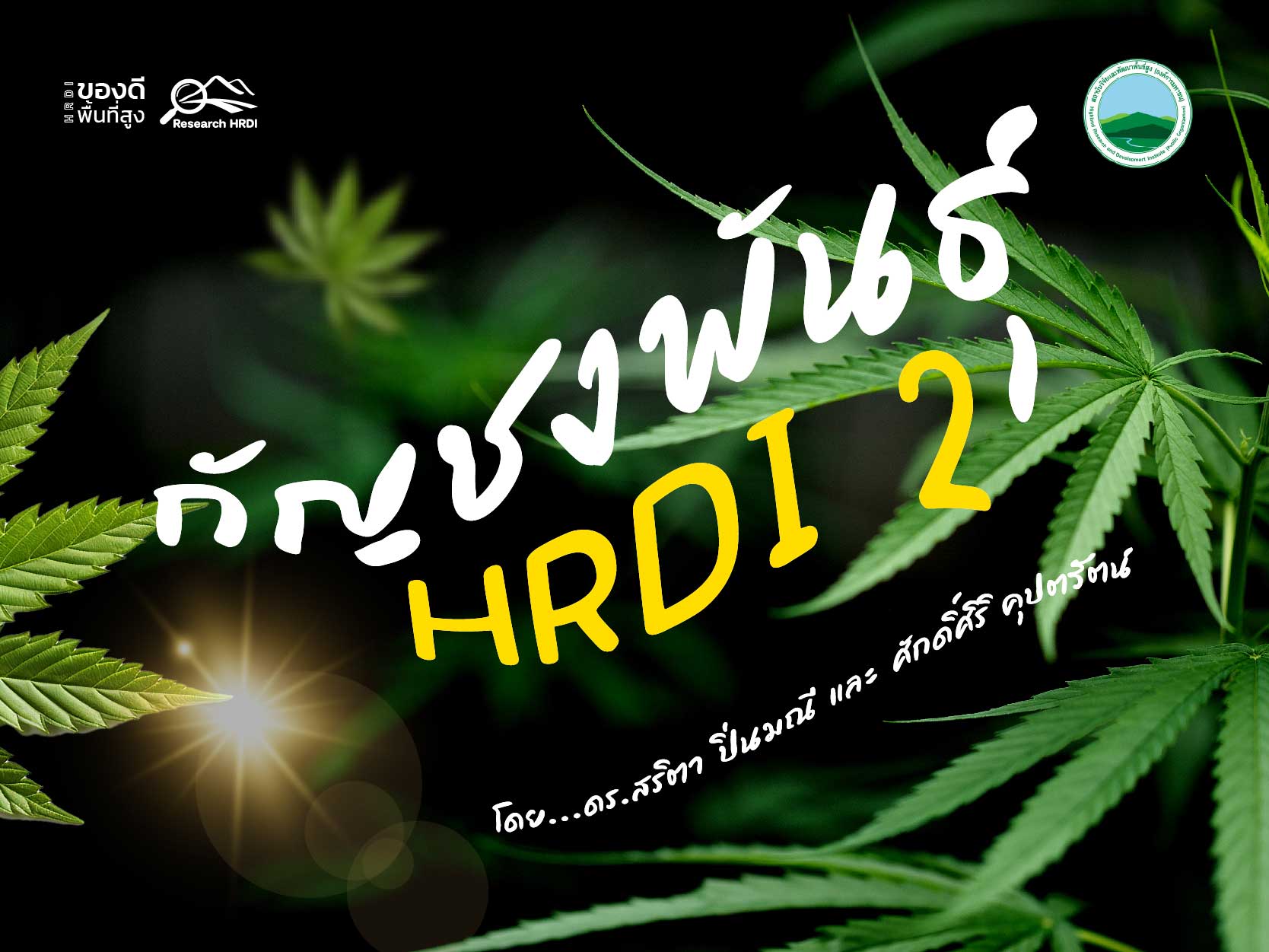 กัญชงพันธุ์ HRDI 2