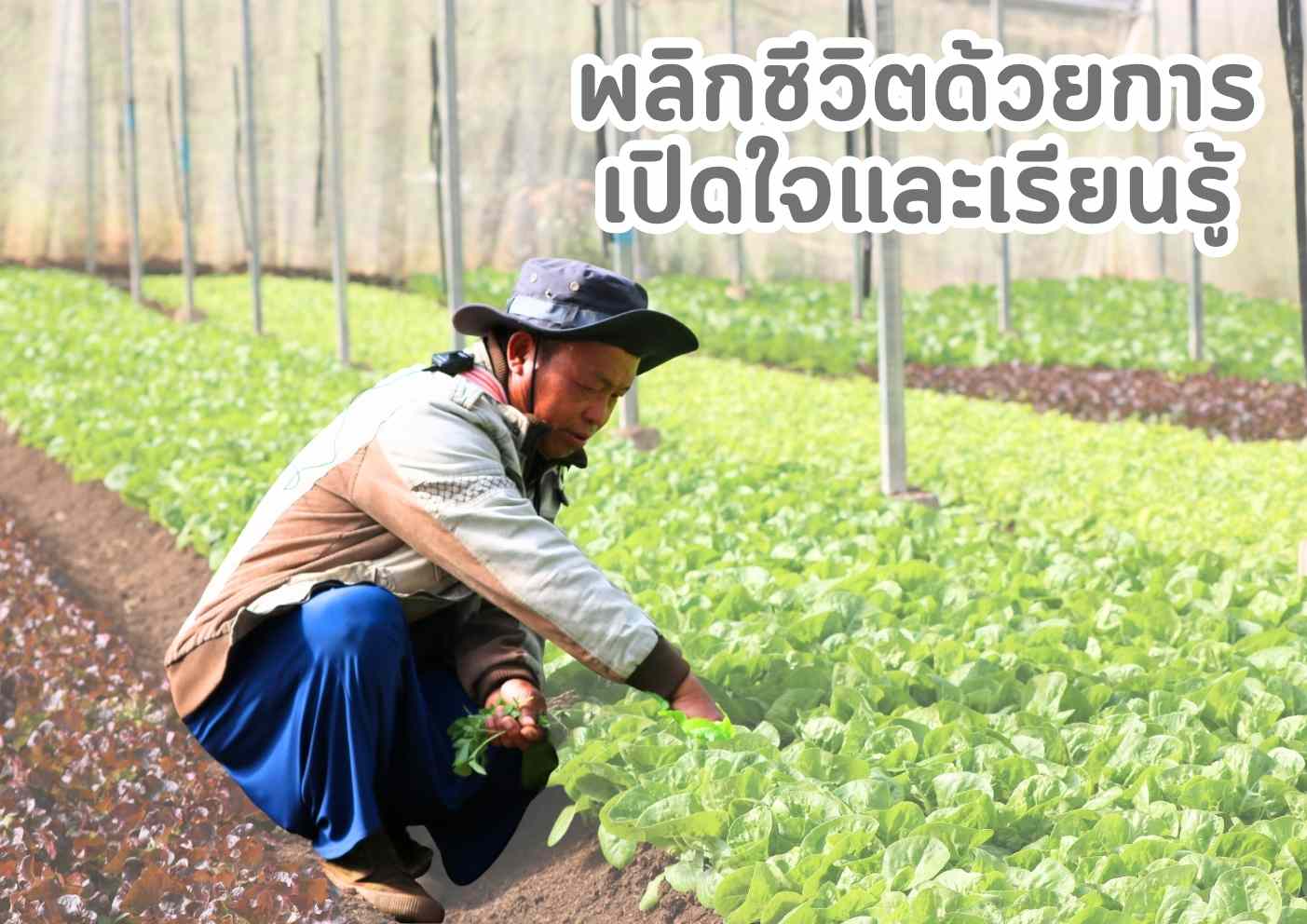 นายชัยโรจน์ พนาอดิศัย