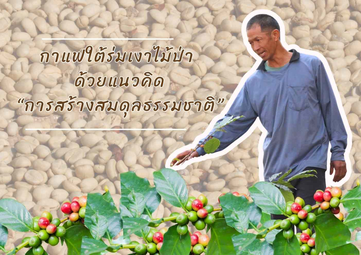นายอาเช่ มอโป๊ะ