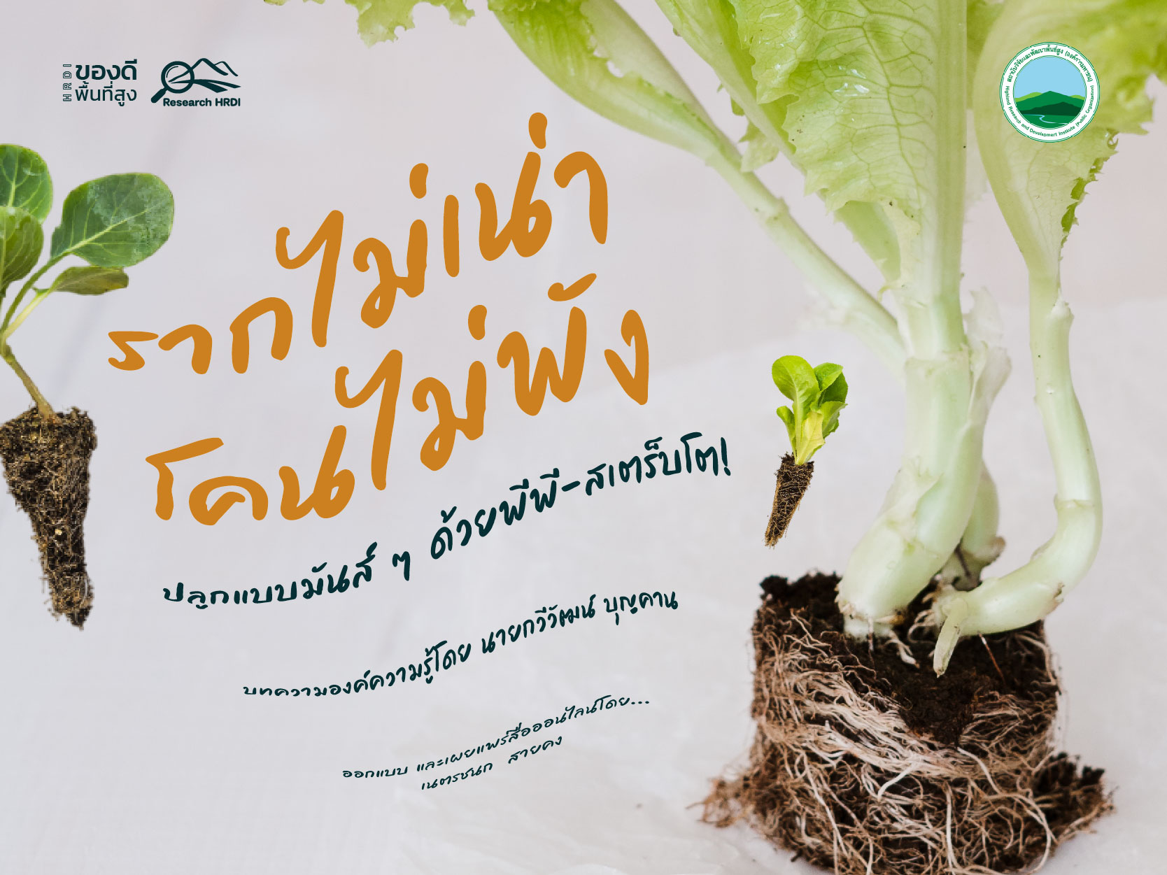 รากไม่เน่า โคนไม่พัง ปลูกแบบมันส์ๆ ด้วยพีพี-สเตร็บโต!