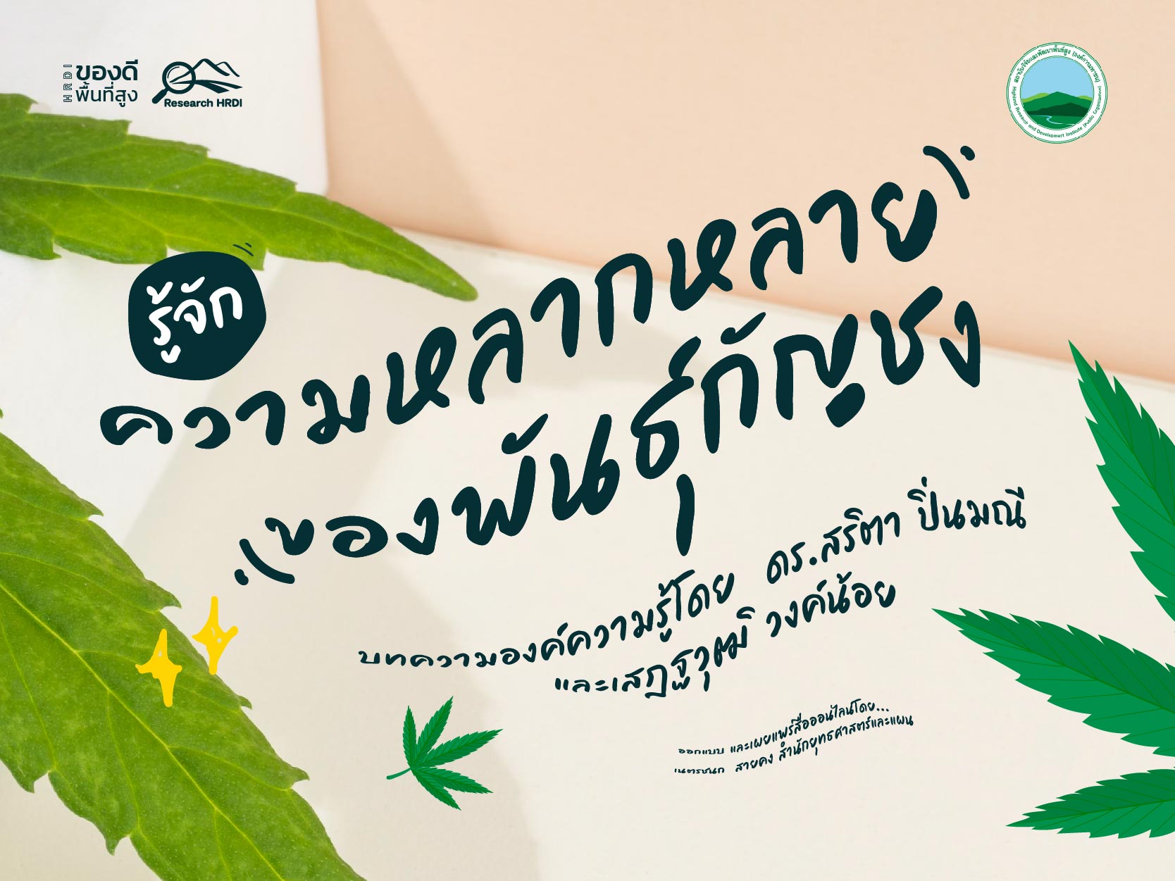 รู้จัก “ความหลากหลายของพันธุ์กัญชง”