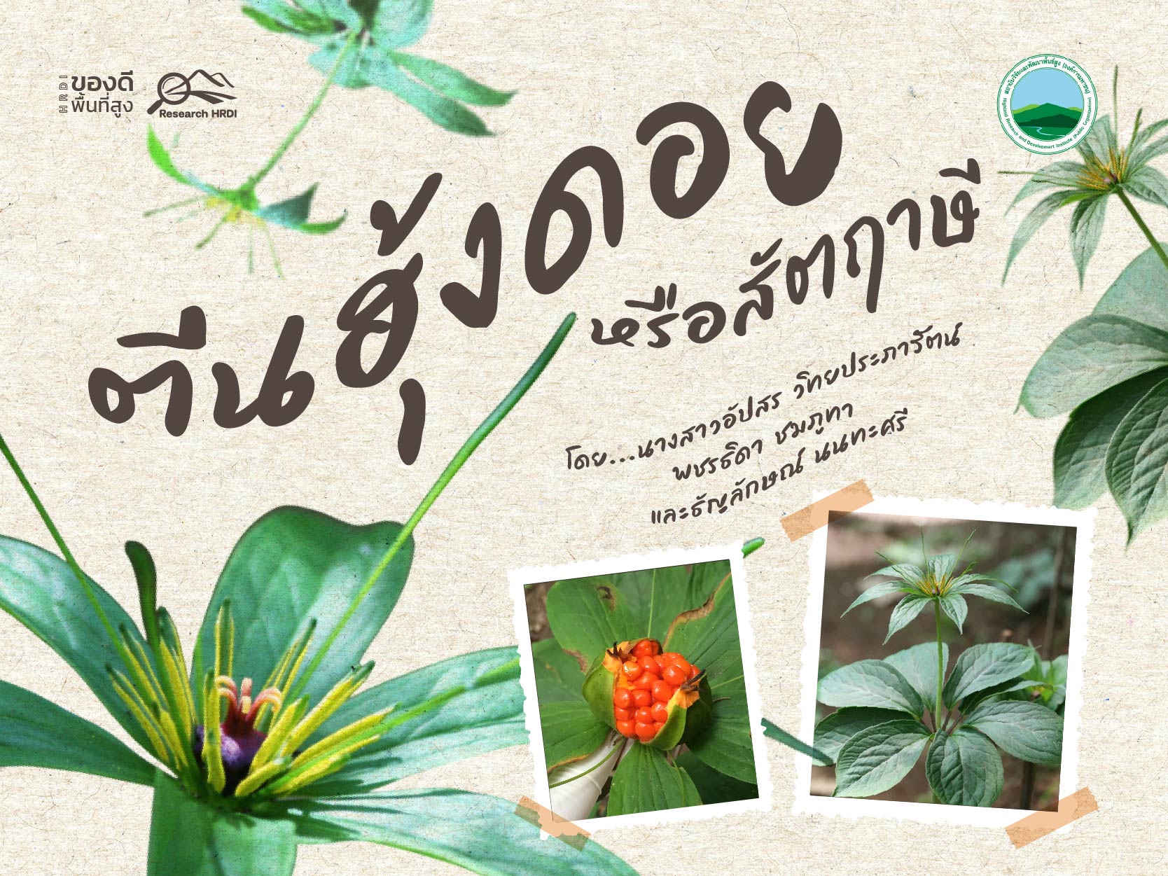 ตีนฮุ้งดอย หรือสัตฤาษี
