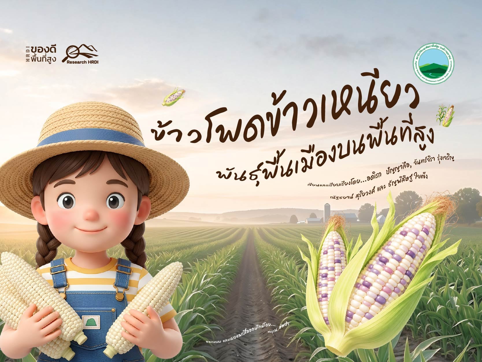 ข้าวโพดข้าวเหนียวพันธุ์พื้นเมืองบนพื้นที่สูง ข้าวโพดข้าวเหนียวพันธุ์พื้นเมืองบนพื้นที่สูง