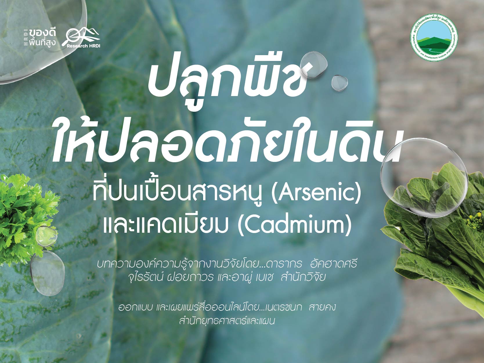 ปลูกพืชให้ปลอดภัยในดินที่ปนเปื้อนสารหนู (Arsenic) และแคดเมียม (Cadmium)