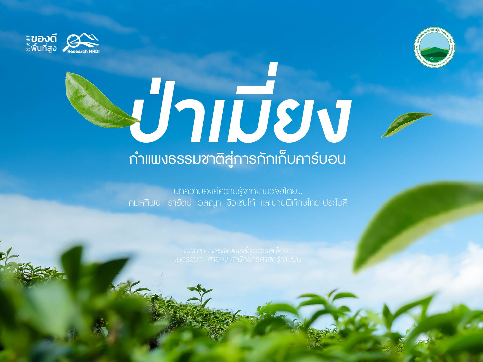 ป่าเมี่ยง : กำแพงธรรมชาติสู่การกักเก็บคาร์บอน