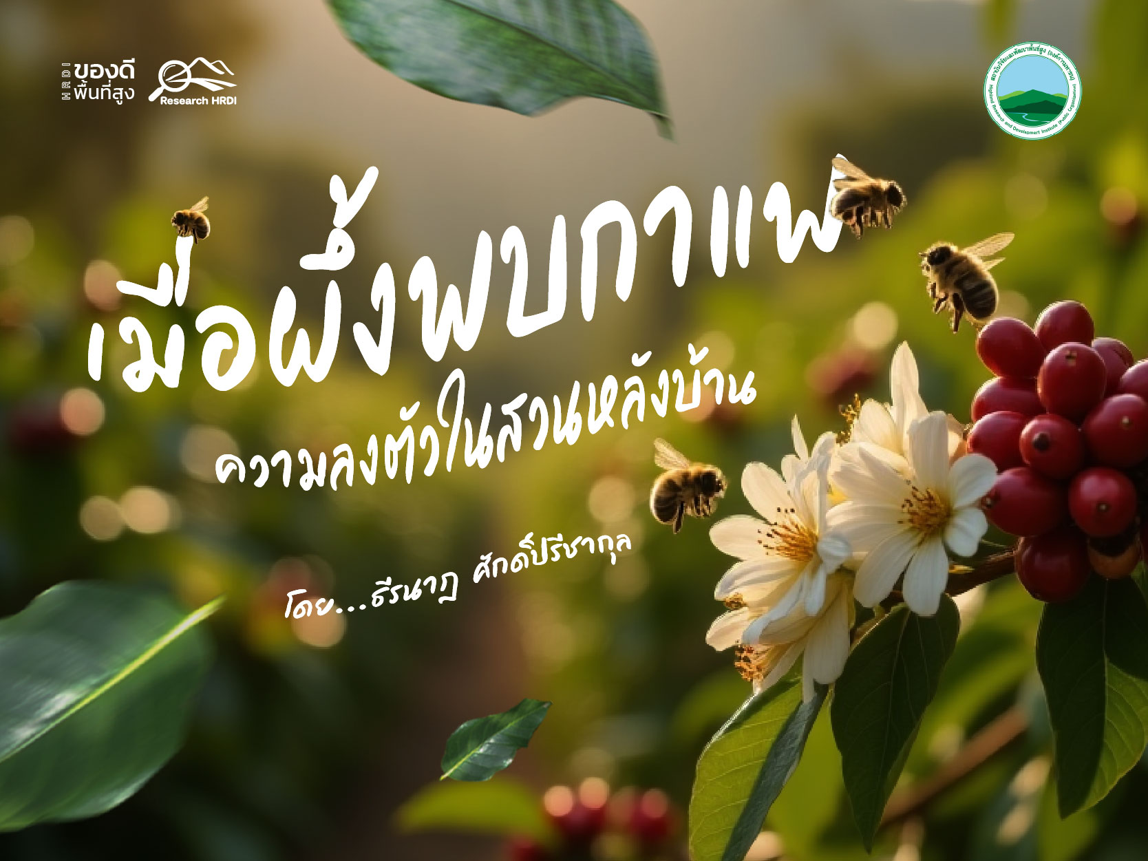 เมื่อผึ้งพบกาแฟ ความลงตัวในสวนหลังบ้าน