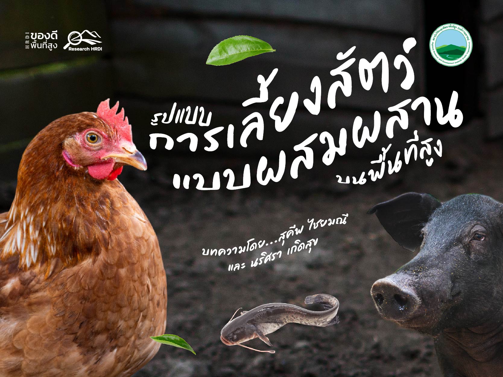 รูปแบบการเลี้ยงสัตว์แบบผสมผสานบนพื้นที่สูง