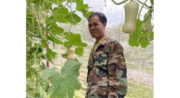 นายวิเชียร ไทยใหม่