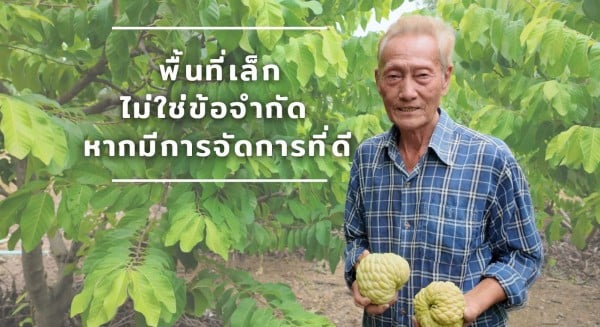 นายว่วนชิง ฟุ้งวิเศษ นายว่วนชิง ฟุ้งวิเศษ