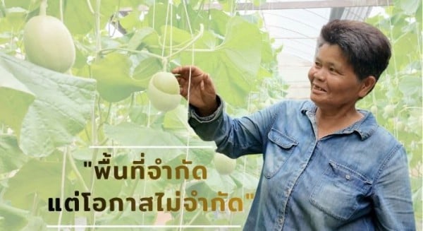 นางมะลิวัลย์ เปลี่ยนศรี นางมะลิวัลย์ เปลี่ยนศรี