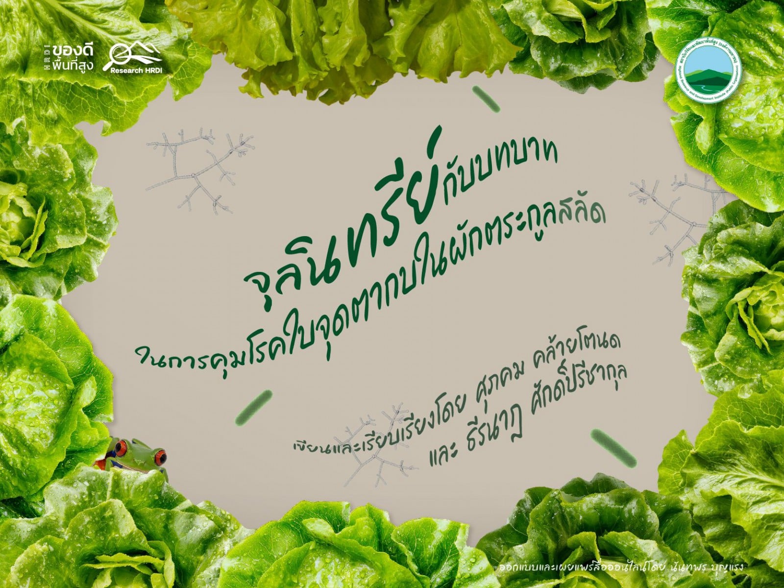 จุลินทรีย์กับบทบาทในการคุมโรคใบจุดตากบในผักตระกูลสลัด